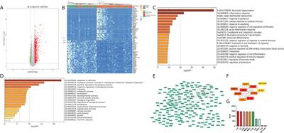 Novel insight on marker genes and pathogenic peripheral neutrophil subtypes in acute pancreatitis